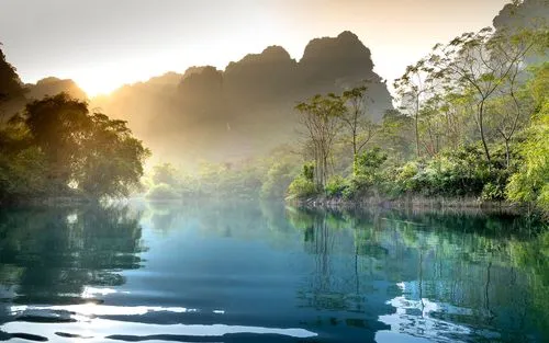 科技高标准